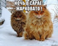 ночь в сарае - жарковато ! 