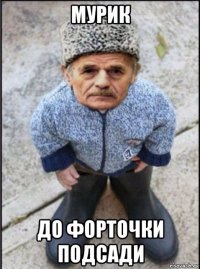 мурик до форточки подсади