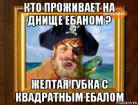 кто проживает на днище ебаном ? желтая губка с квадратным ебалом