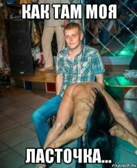 как там моя ласточка...