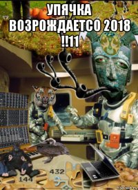 упячка возрождаетсо 2018 !!11 