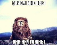 зачем мне псы они ничтожны
