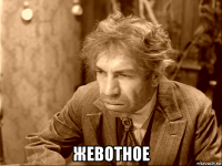  жевотное