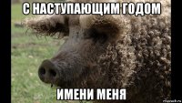 с наступающим годом имени меня