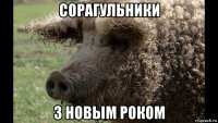 сорагульники з новым роком