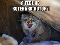 я тебе не "котенька-коток"! 
