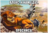 алекс, к нам едут, проснись.