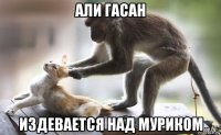али гасан издевается над муриком