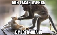 али-гасан мурика вместо ишака