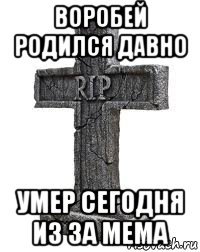 воробей родился давно умер сегодня из за мема
