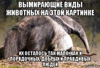 вымирающие виды животных на этой картинке их осталось так мало, как и порядочных, добрых и правдивых людей