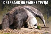 сбербанк на рынке труда 