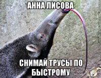 анна лисова снимай трусы по быстрому