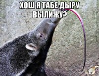 хош я табе дыру вылижу? 