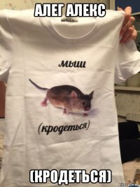 алег алекс (кродеться)