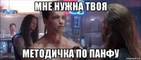 мне нужна твоя методичка по панфу