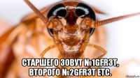  старшего зовут №1gfr3t, второго №2gfr3t etc.