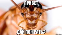 привет дай пожрать?