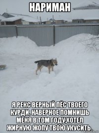 нариман я рекс верный пёс твоего курди, наверное помнишь меня в том году,хотел жирную жопу твою укусить.