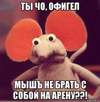 ты чо, офигел мышъ не брать с собой на арену??!