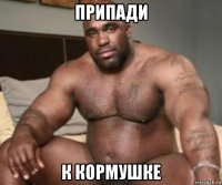 припади к кормушке