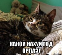  какой нахуй год орла?!