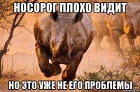 носорог плохо видит но это уже не его проблемы