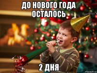 до нового года осталось 2 дня