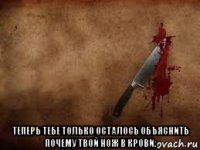  теперь тебе только осталось объяснить почему твой нож в крови.