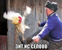  зит ис селооо
