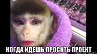  когда идешь просить проект
