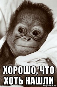  хорошо, что хоть нашли