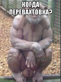 когда перевахтовка? 
