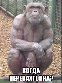  когда перевахтовка?
