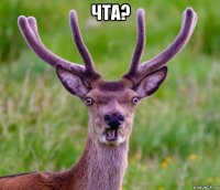 чта? 