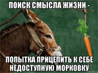 поиск смысла жизни - попытка прицепить к себе недоступную морковку
