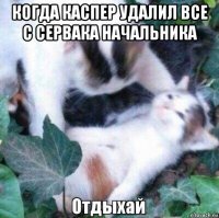 когда каспер удалил все с сервака начальника 
