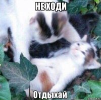 не ходи 