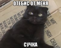 отебис от меня сучка