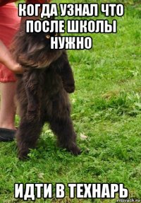когда узнал что после школы нужно идти в технарь