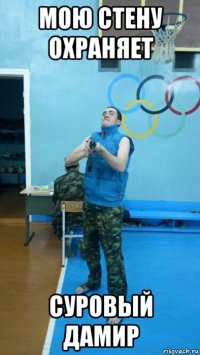 мою стену охраняет суровый дамир