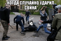 когда случайно ударил свина 