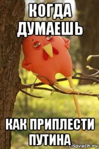 когда думаешь как приплести путина
