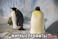  жирные профиты