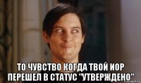 то чувство когда твой иор перешел в статус "утверждено"