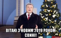  вітаю з новим 2019 роком свині!