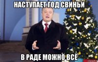 наступает год свиньи в раде можно всё