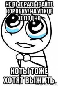 не выбрасывайте коробку! на улице холодно коты тоже хотят выжить
