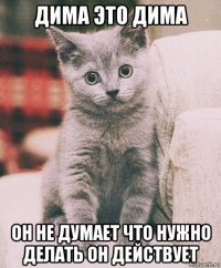 дима это дима он не думает что нужно делать он действует