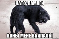 нато, памаги воны мене вьипалы